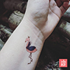 Flamingo